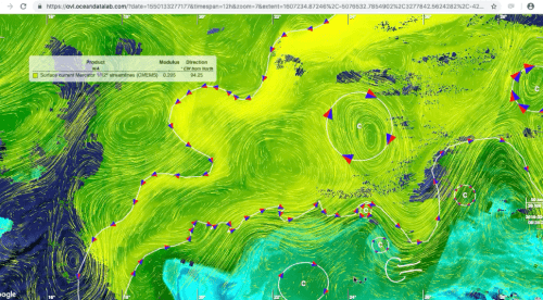 Synoptic chart of the upper ocean dynamics